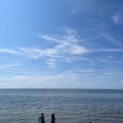 The coast