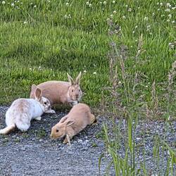 Besuch auf dem Camp