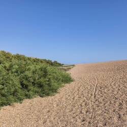 Chesil Beach