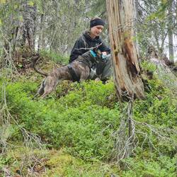 Hunde mit Abstand schön ruhig vorbeilassen