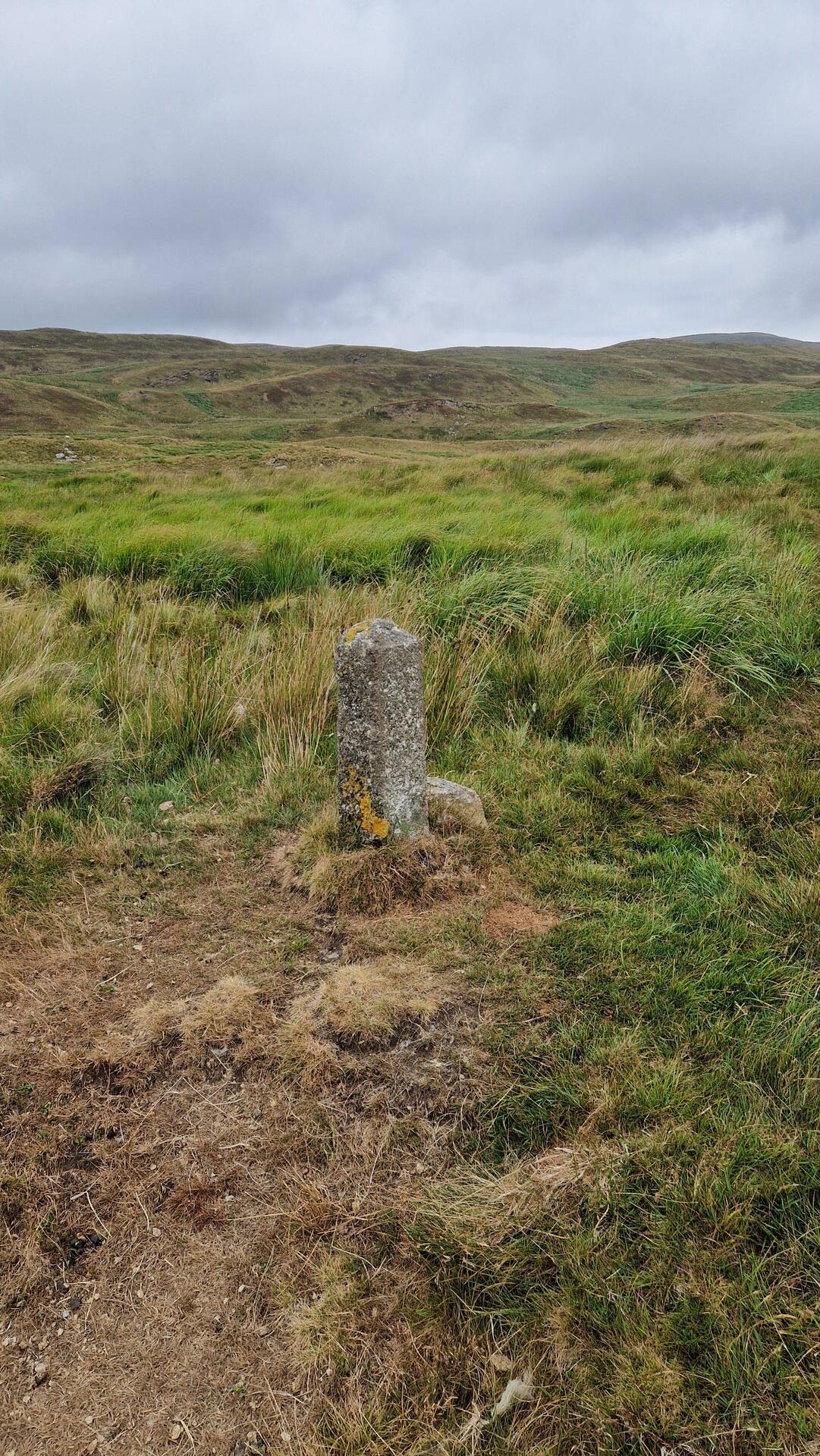 Roadside concrete post