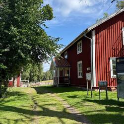 Blaubeeren-Wanderung im Mosse Store Nationalpark