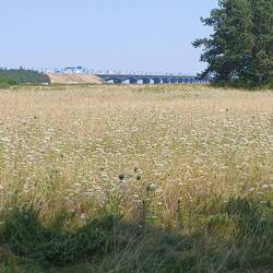 Große Belt Brücke