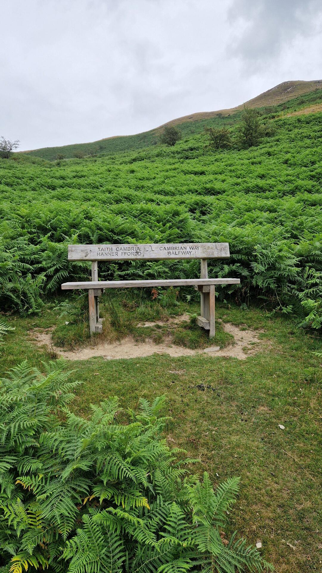 Cambrian Way half way bench