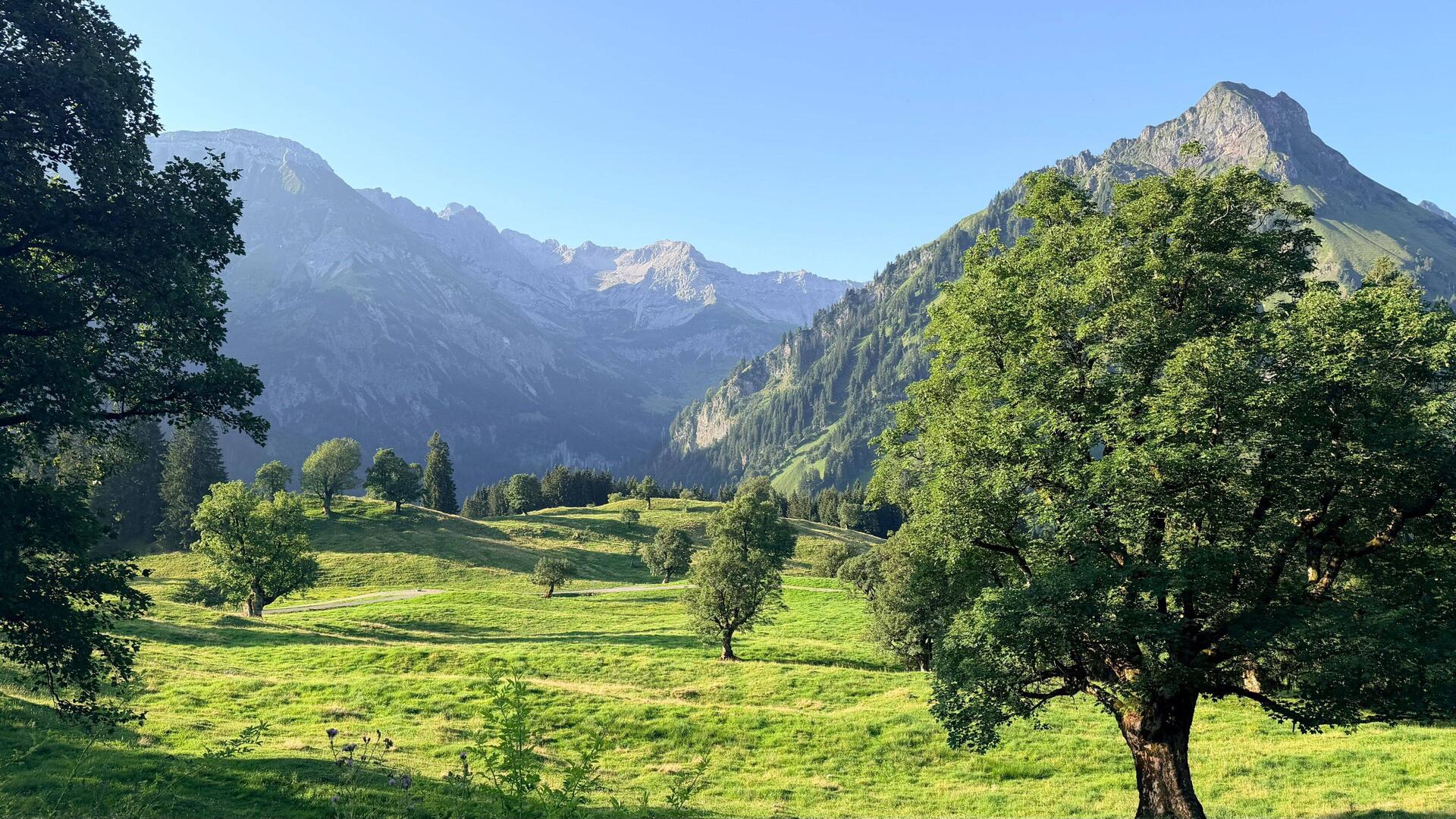Morgenausblick von der Hütte - war schon richtig warm 🥵
