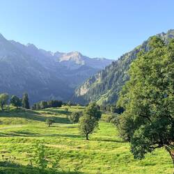 Morgenausblick von der Hütte - war schon richtig warm 🥵