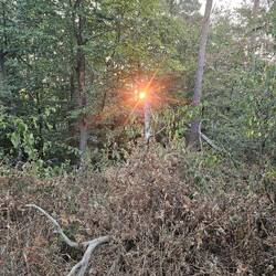 Sonnenaufgang