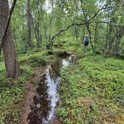 Wasser auf dem Weg.