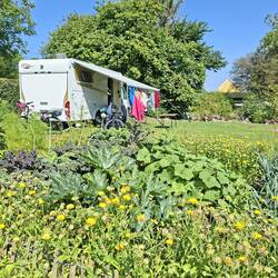 Stellplatz hinterm Blumenbeet
