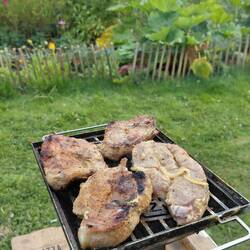 Lecker Abendessen vom Thüringer Rost