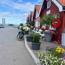 Der Hafen von Helgeroa morgendlich frisch herausgeputzt 🌺