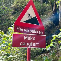 'Mache eine Gangfahrt' hat mir als Übersetzung gereicht. Weg sprach dann auch für sich.