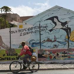 In creole: "Every habitat that we destroy is a story that falls silent."