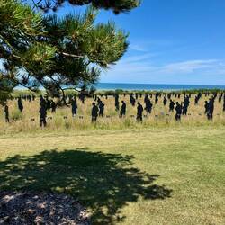 Dann kommt man zum Gedenkfeld. Dort stehen die lebensgroßen Schatten der 1.462 Soldaten
