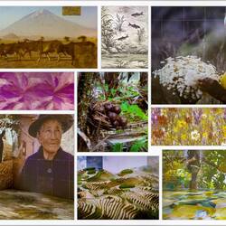 Screenshots from "Living Heritage" ... Journey around the world in three minutes — MuNe, Roma.