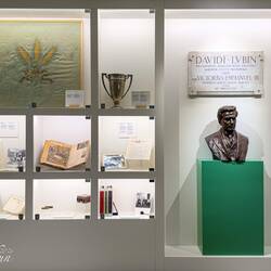 FAO's celebrated David Lubin Memorial Libraryhas some 1.5 million volumes in its collection.