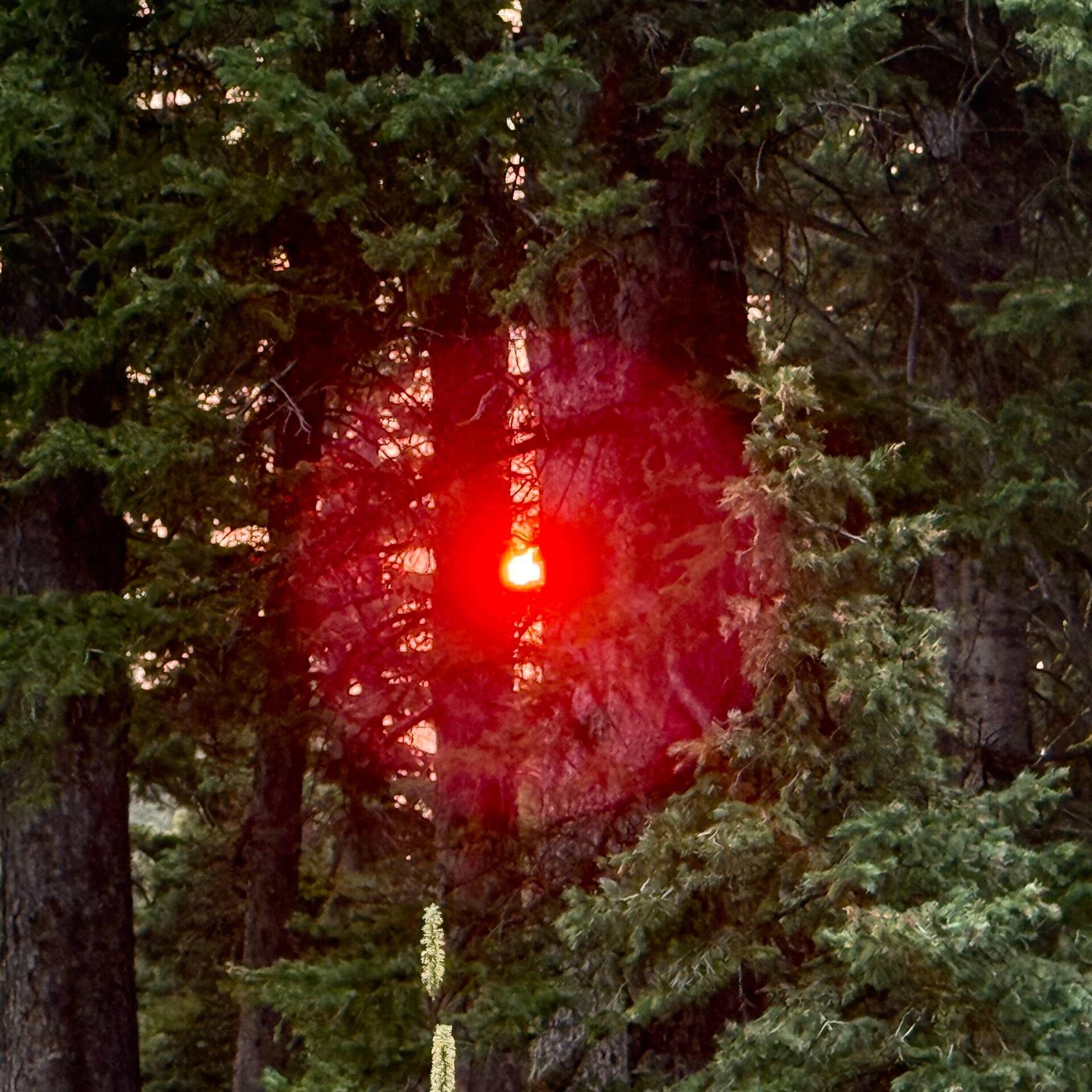 Die Sonne war heute früh tatsächlich feuerrot.