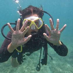 Simi diving