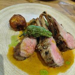My delicious melt in your mouth rack of lamb on ratatouille