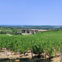 Our fun ride through the vineyards of Sancerre