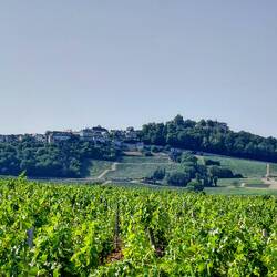 Looking back at the village