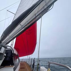 Fully powered up for downwind: full main + gennaker.