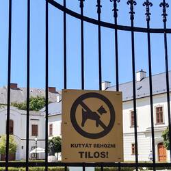The only place dogs are not allowed!!
