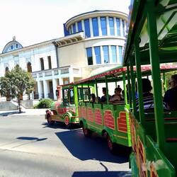 The green train