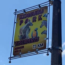 Yes, Kangaroo Park!!