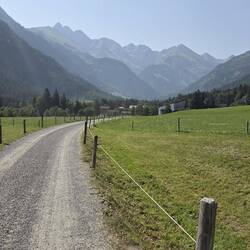 Erstmal wieder lange flach auf Forstwegen