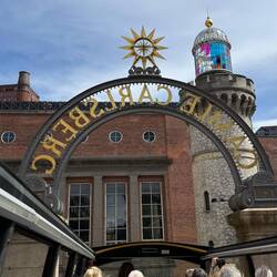 Carlsberg