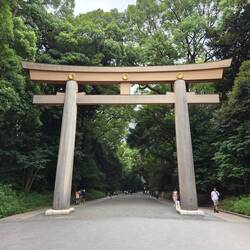 Die Torii-Tore, das mittige Durchlaufen ist nur den Gottheiten erlaubt