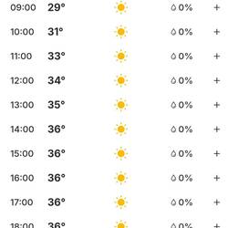 These were today's temperatures by the hour.