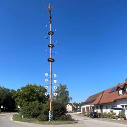 May poles are everywhere