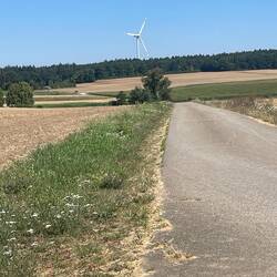 A lone wind turbine
