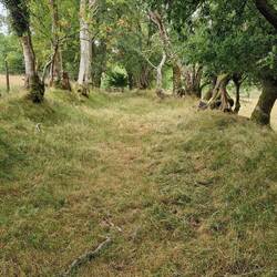 Delightful grass pathway in Coed Cornwall-fach