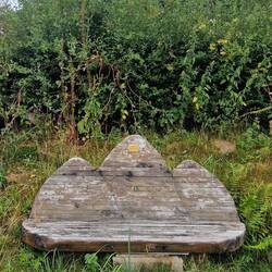 Tony Drake memorial bench