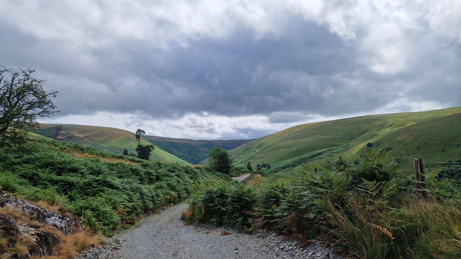 Track out from Ty'n Cornell hostel down route of afon Doethie Fawr