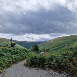 Track out from Ty'n Cornell hostel down route of afon Doethie Fawr