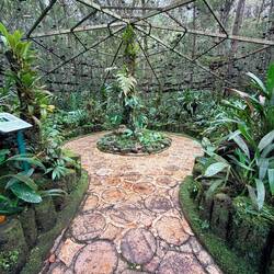 The botanical garden