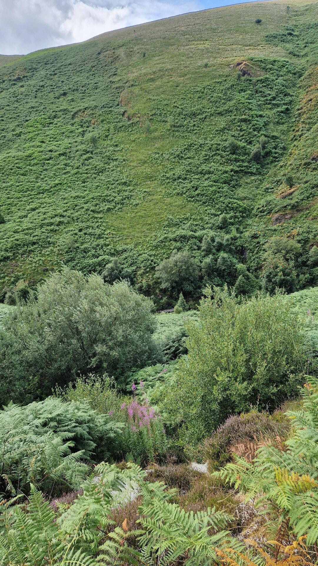 High above the Afon Doethie fawr river