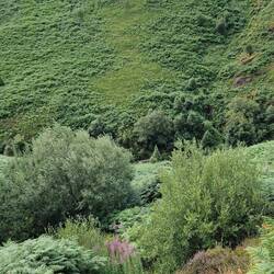 High above the Afon Doethie fawr river