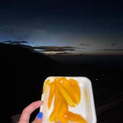 Mango on a hill