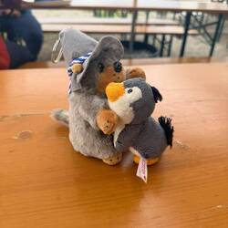 Pingu findet Monte auch toll - no competition 😉