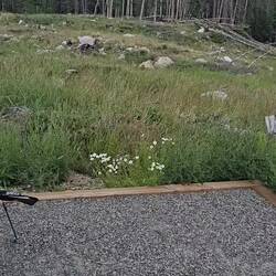 Panorama of our campground.