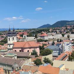 View from 44 metres up