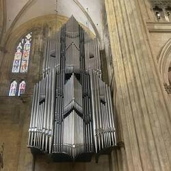 Very big organ