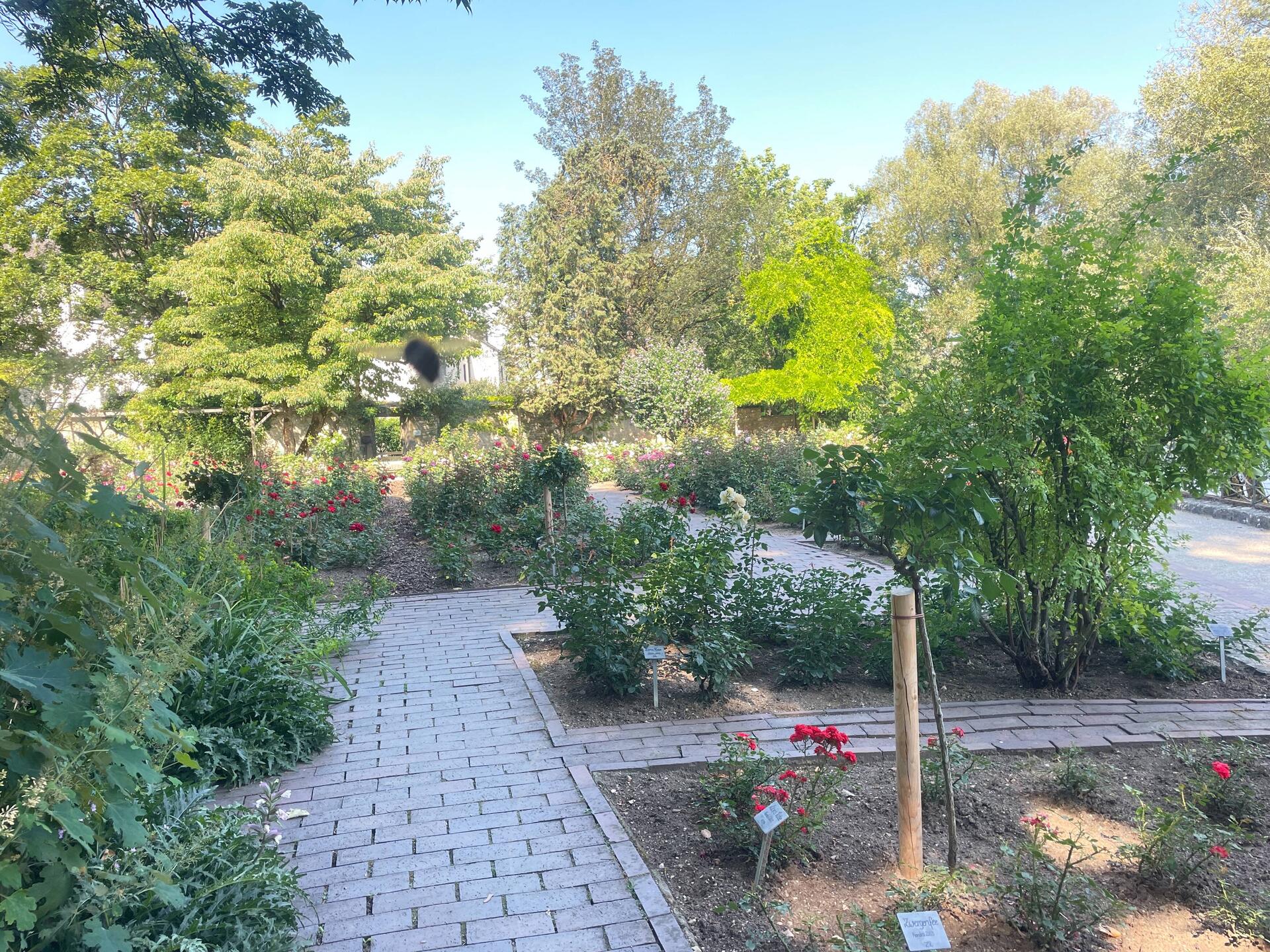Herzog park
