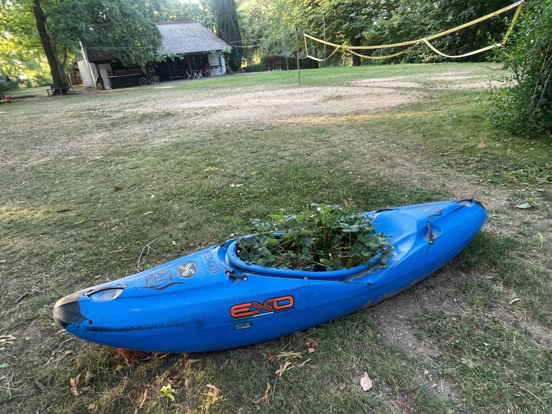 Strawberry planter