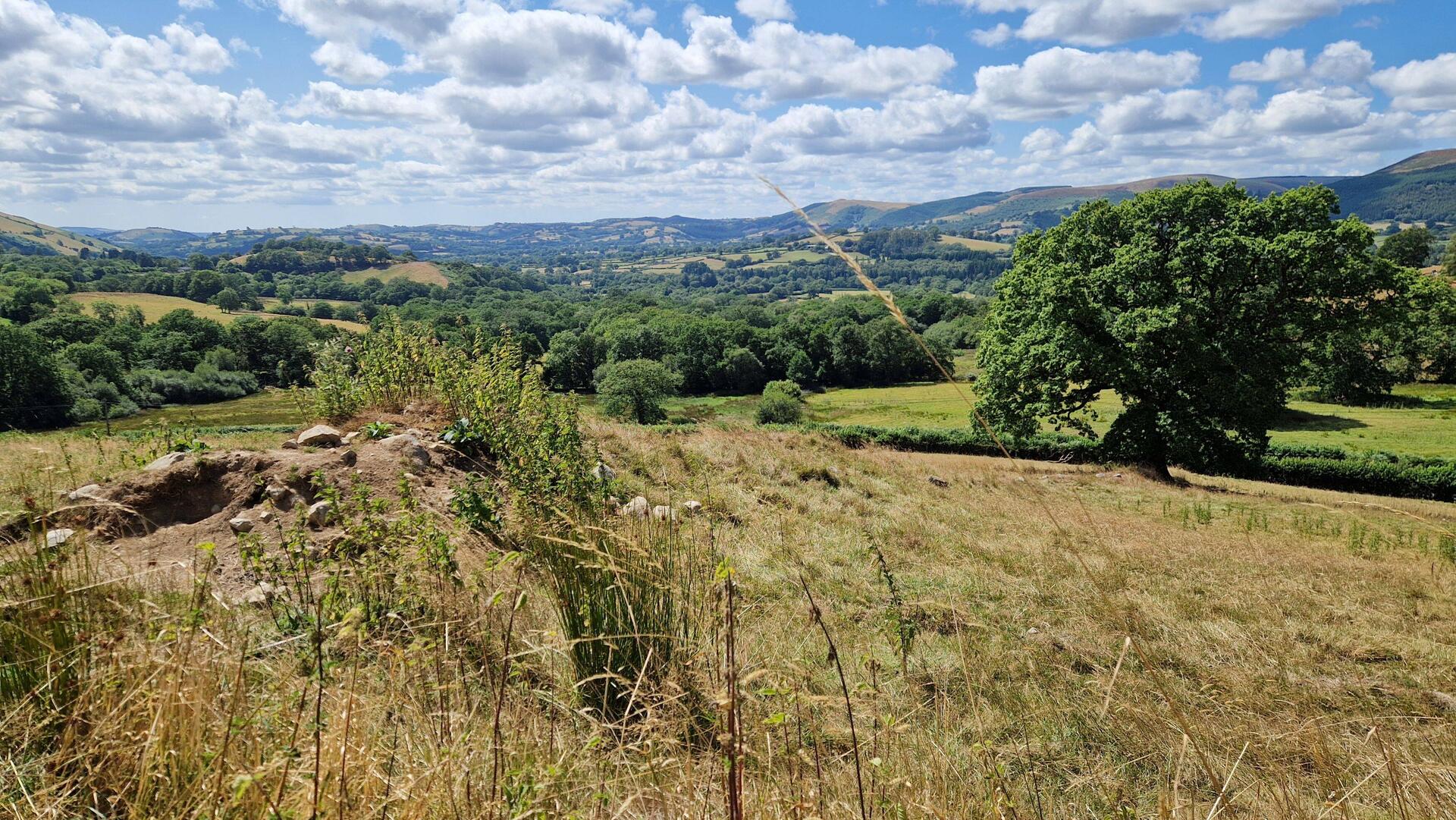 Attractive pasturel view on the route